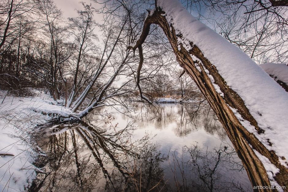 красивые зимние пейзажи минск беларусь солнечная зимняя погода фотографии в зимнем лесу река свислочь зимняя природа на фото фотограф красивые виды зимний лес