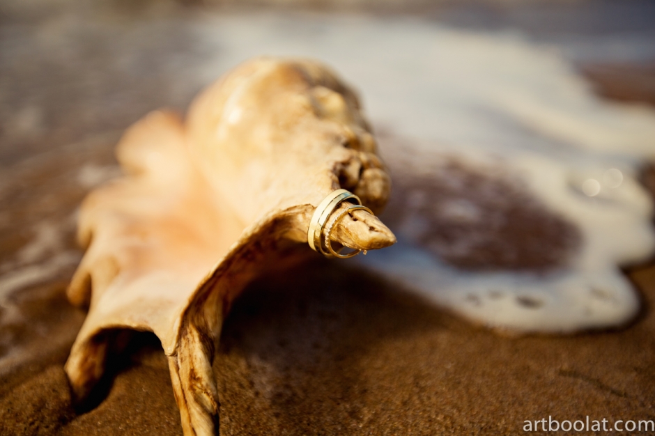 beach-268