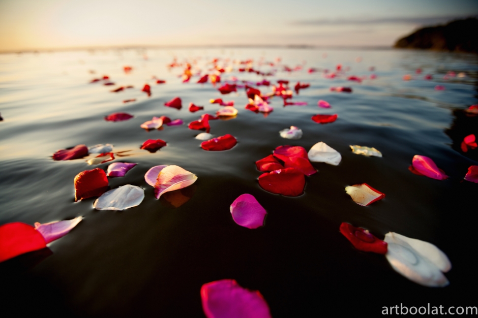 beach-620